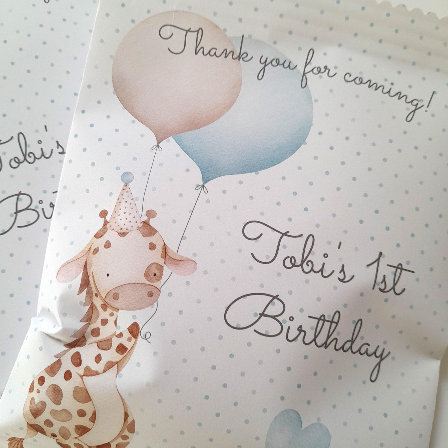 Custom Giraffe Birthday Party Bags for Boys – Pack of 10