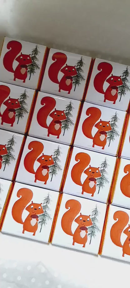Red Squirrel Woodland Chocolate Favours (Pack of 25)