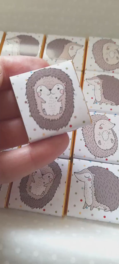Woodland Hedgehog Chocolate Favours – Personalised Pack of 25