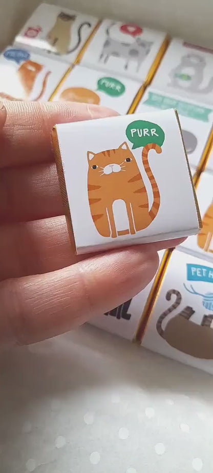 Playful Cat Birthday Chocolate Favours – Pack of 25