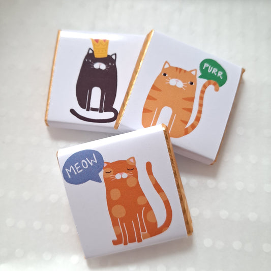 Playful Cat Birthday Chocolate Favours – Pack of 25